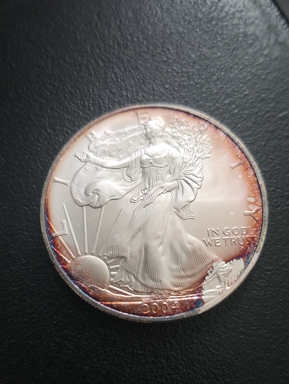 2004 American Silver Eagle With Toning